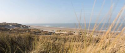 Coxyde